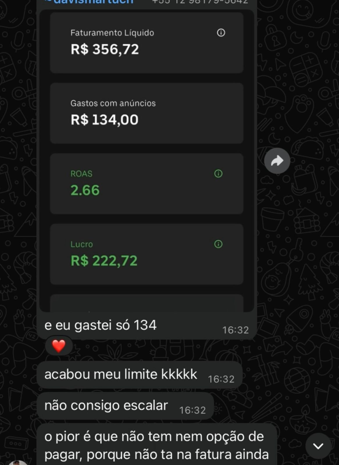 Print WhatsApp mostrando faturamento R$356,72, ROAS 2.66 e lucro R$222,72